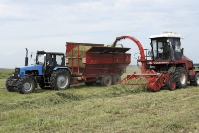 В Омском регионе начался активный период по заготовке кормов Особое внимание обращено на соблюдение технологии заготовки качественного сена и сенажа.
